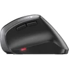 Kép 2/4 - CHERRY MW 4500 egér Jobbkezes Vezeték nélküli RF Optikai 1200 DPI (JW-4500) ergonomikus